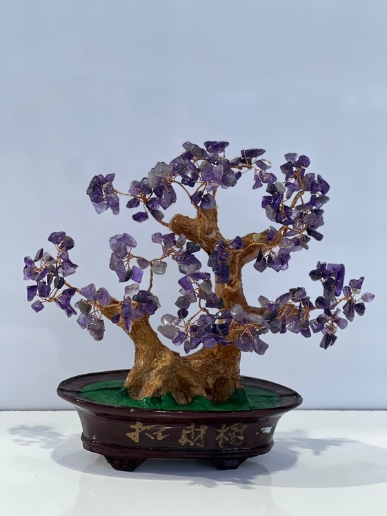 Cây phong thủy tài lộc đế nhựa